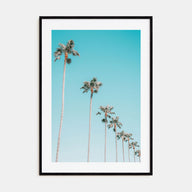 Palm Trees Photo Color No 3 Poster