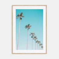 Palm Trees Photo Color No 3 Poster