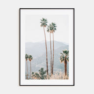 Palm Trees Photo Color No 4 Poster