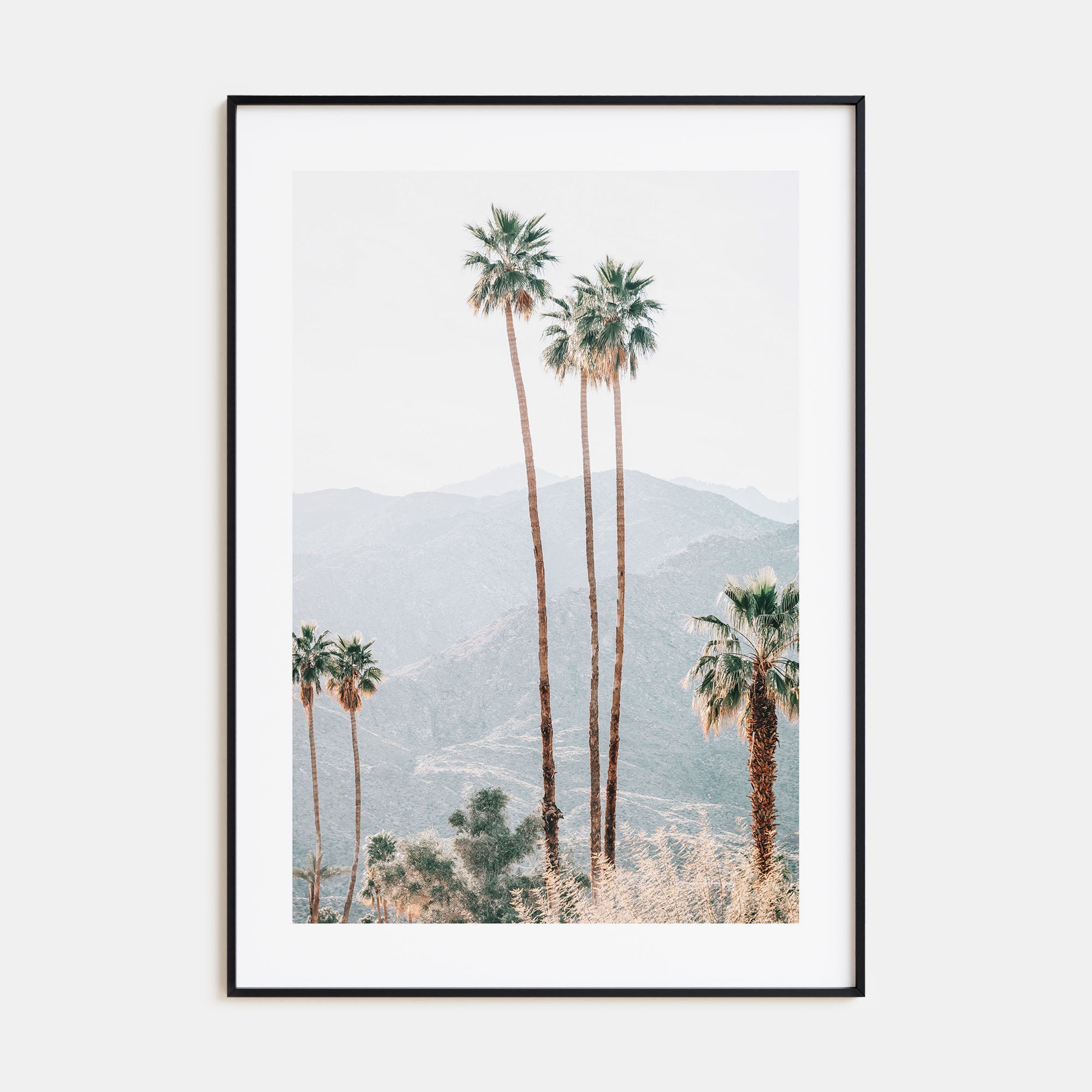 Palm Trees Photo Color No 4 Poster