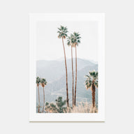 Palm Trees Photo Color No 4 Poster