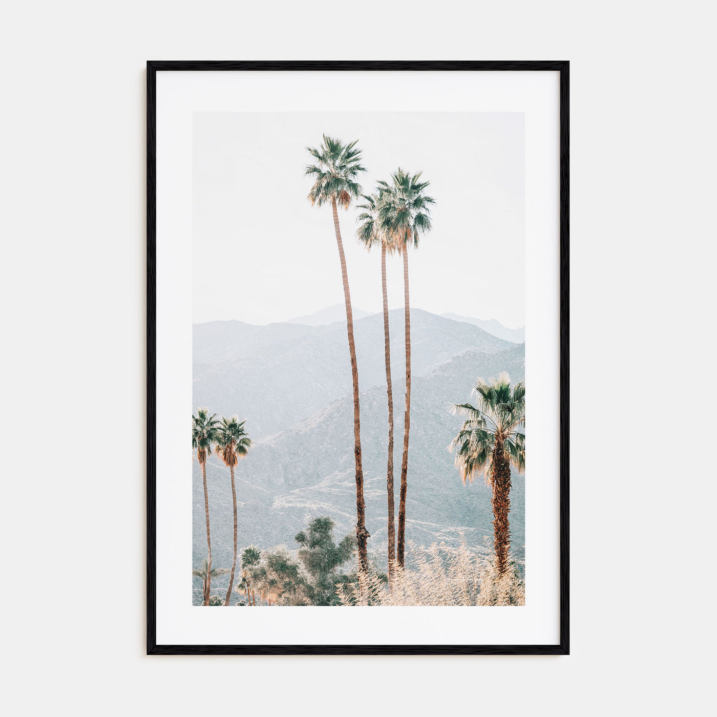 Palm Trees Photo Color No 4 Poster