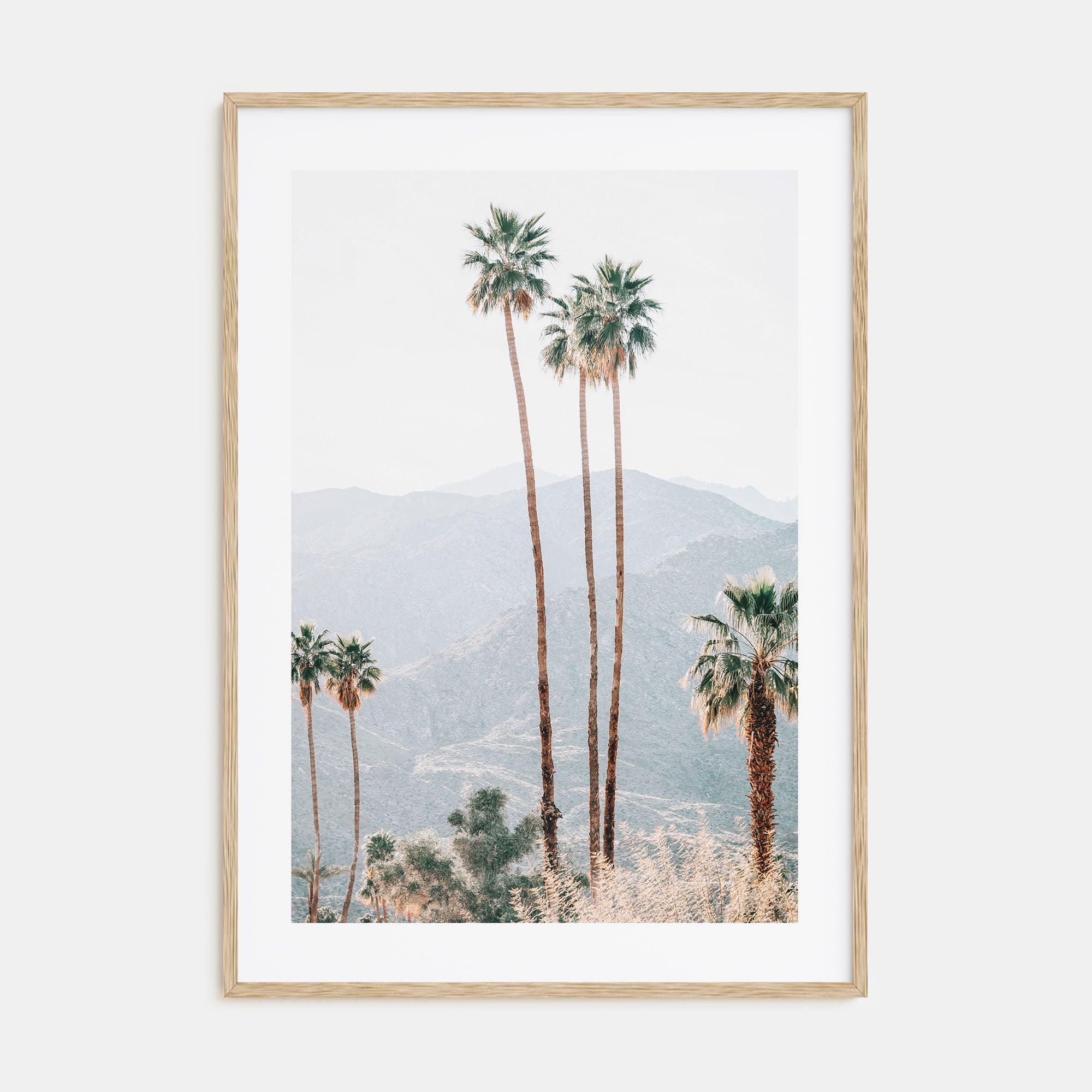 Palm Trees Photo Color No 4 Poster