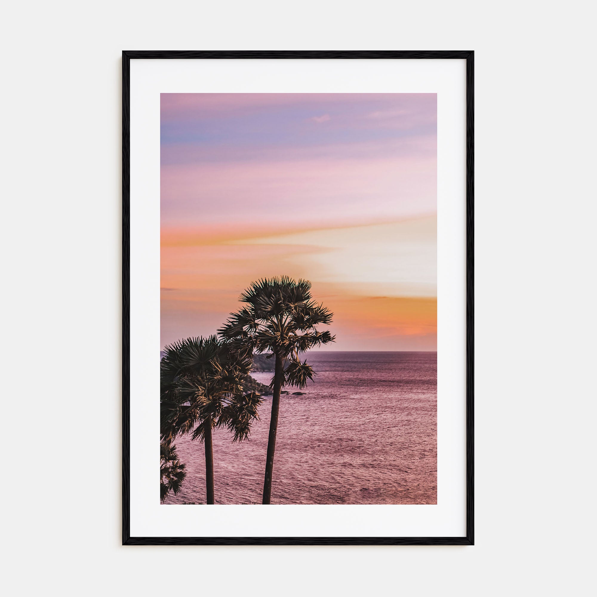 Palm Trees Photo Color No 5 Poster