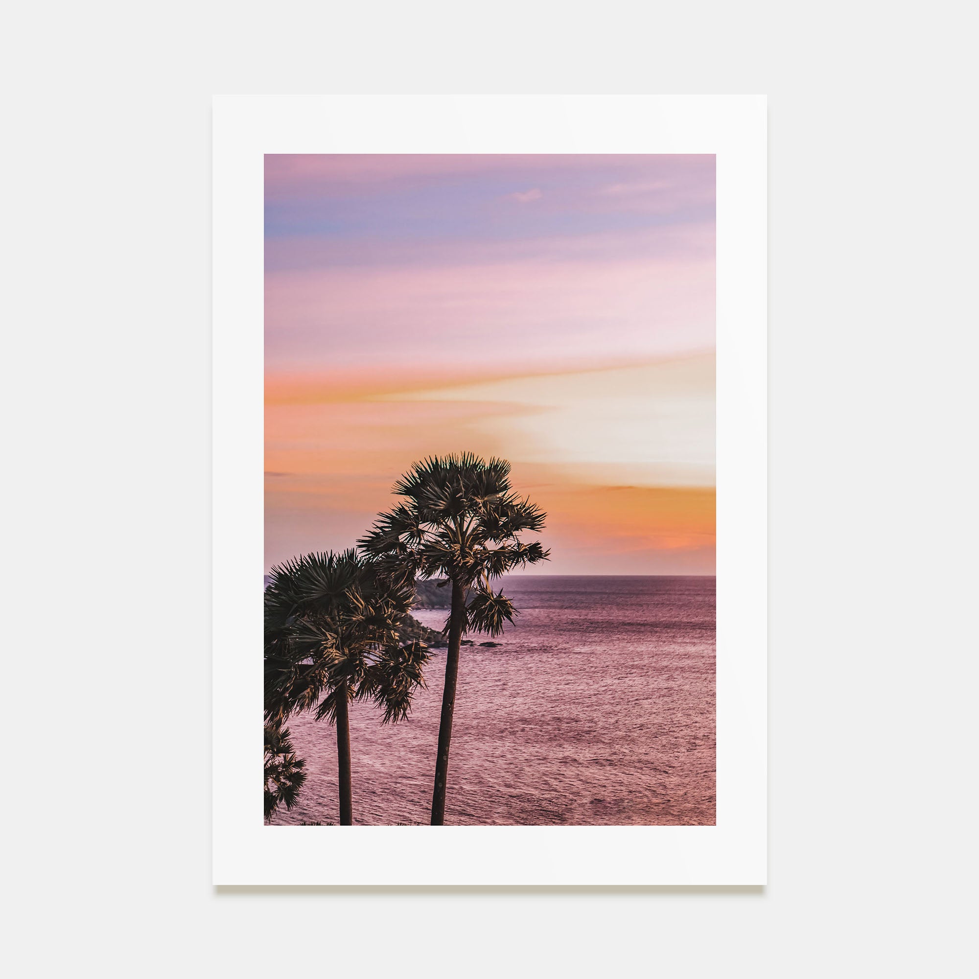 Palm Trees Photo Color No 5 Poster
