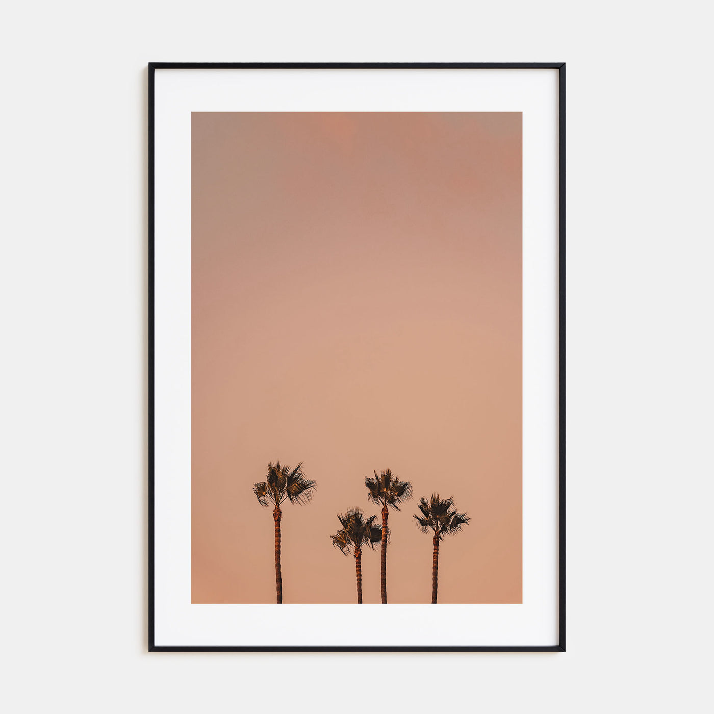 Palm Trees Photo Color No 6 Poster