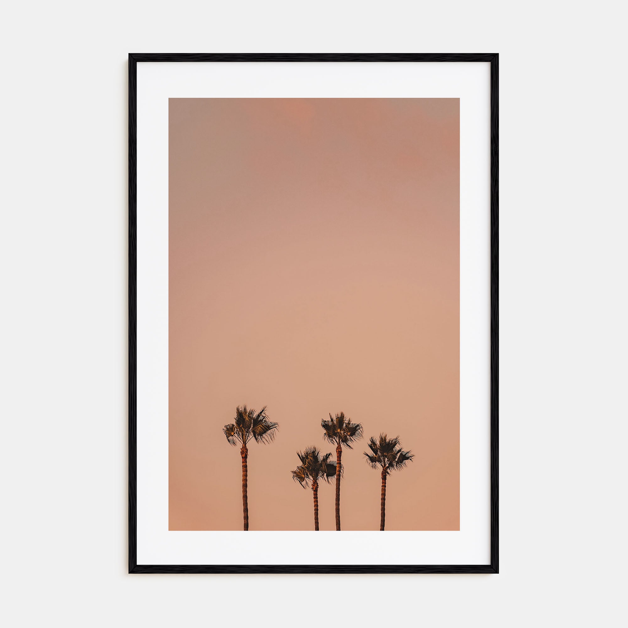 Palm Trees Photo Color No 6 Poster