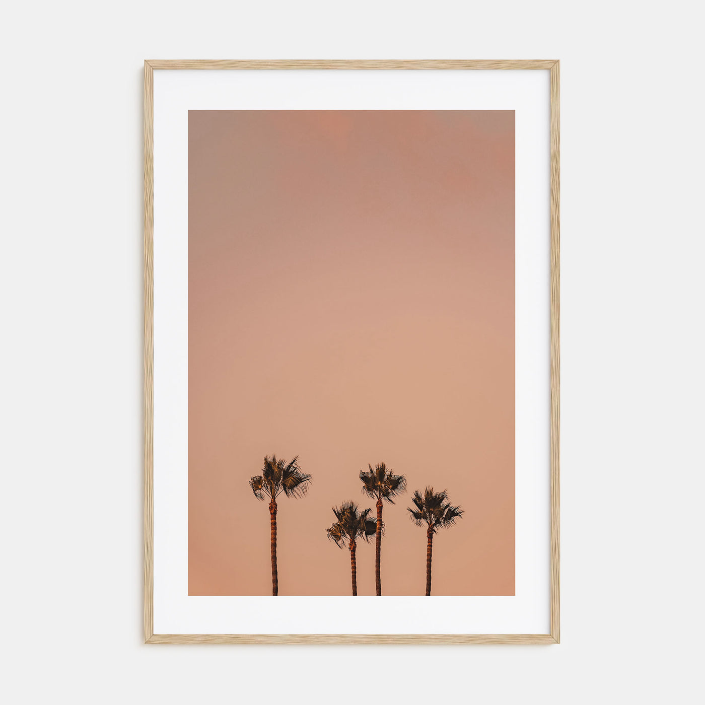 Palm Trees Photo Color No 6 Poster
