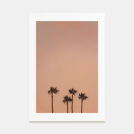 Palm Trees Photo Color No 6 Poster