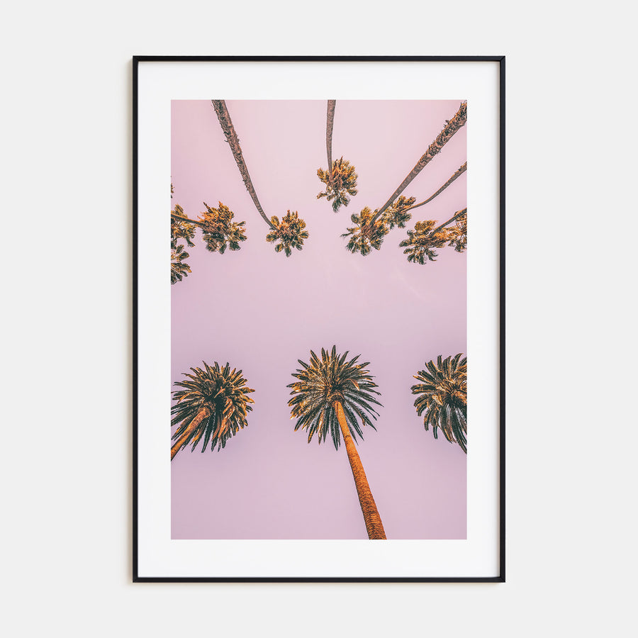 Palm Trees Photo Color No 8 Poster