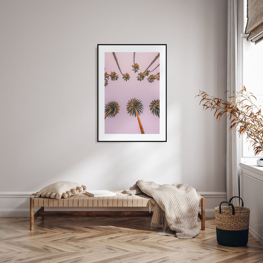 Palm Trees Photo Color No 8 Poster