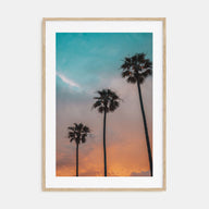 Palm Trees Photo Color No 9 Poster