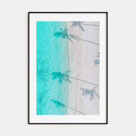 Palm Trees Shadows Photo Color Poster