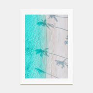 Palm Trees Shadows Photo Color Poster