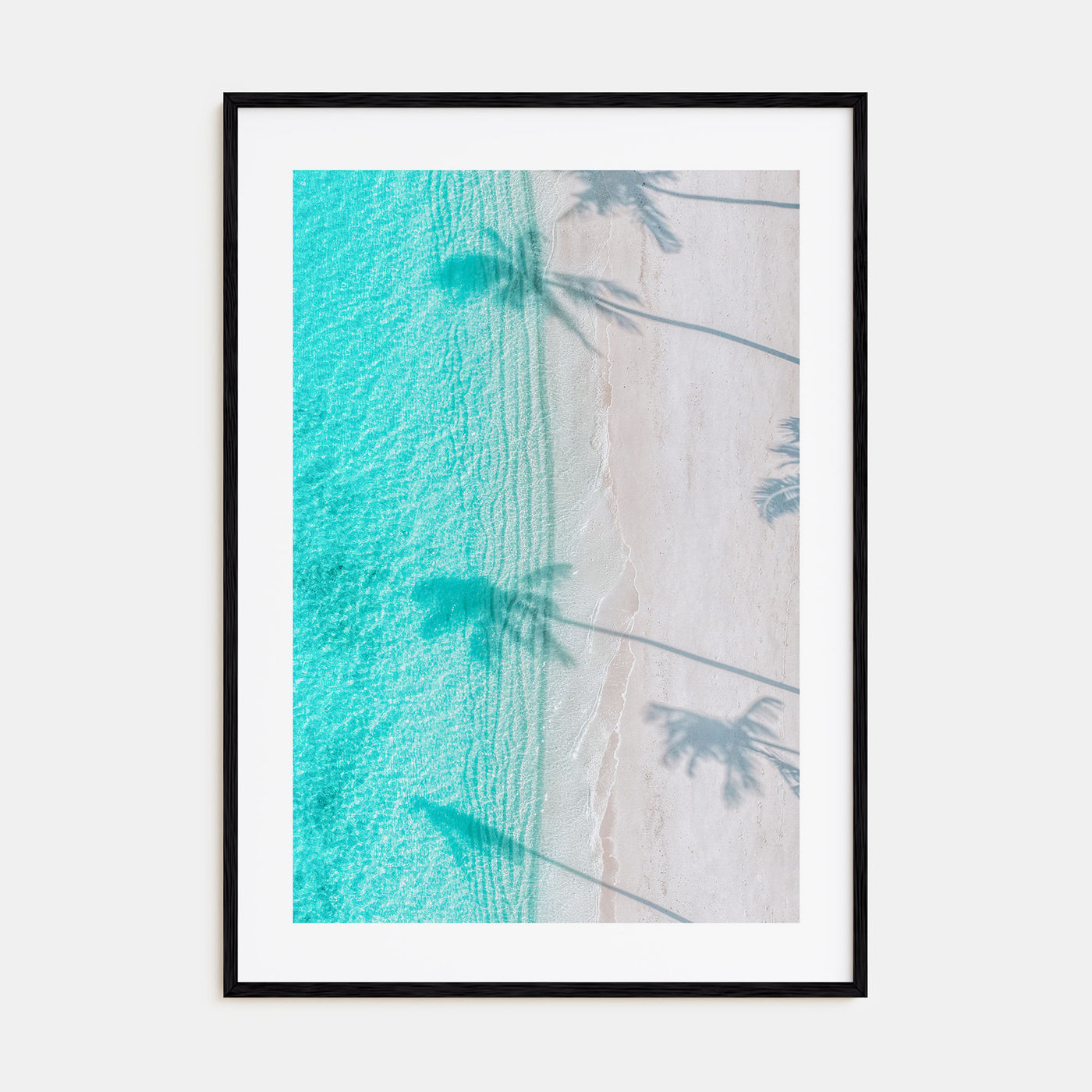 Palm Trees Shadows Photo Color Poster