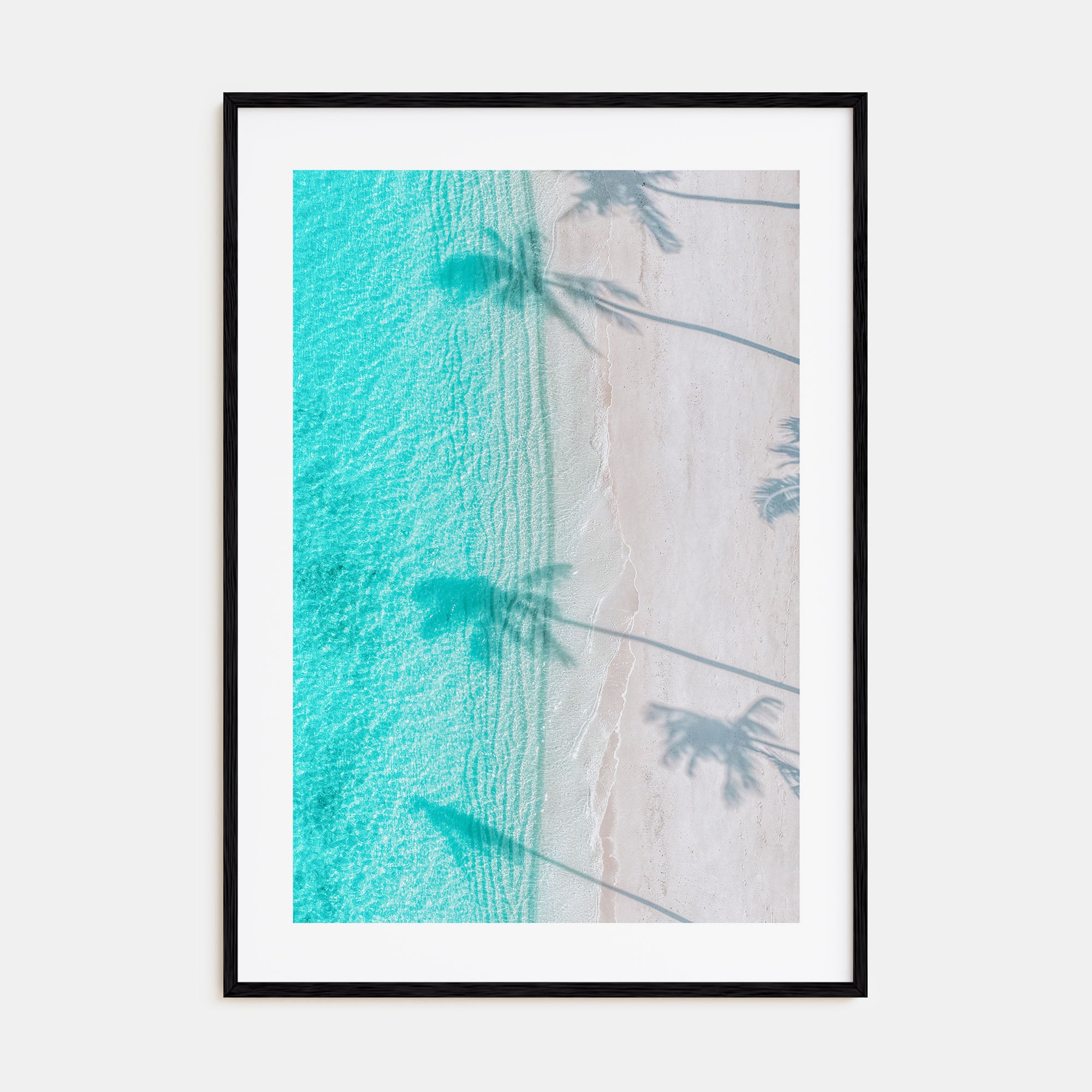 Palm Trees Shadows Photo Color Poster