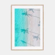Palm Trees Shadows Photo Color Poster