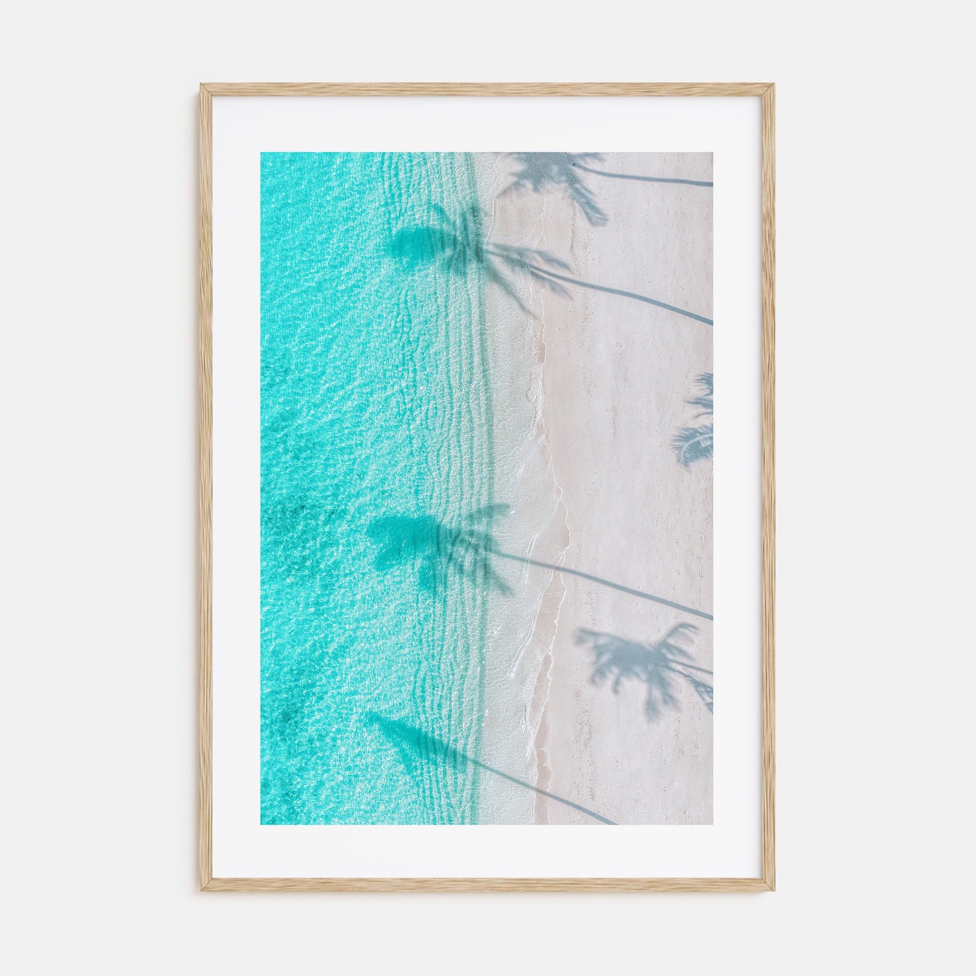 Palm Trees Shadows Photo Color Poster