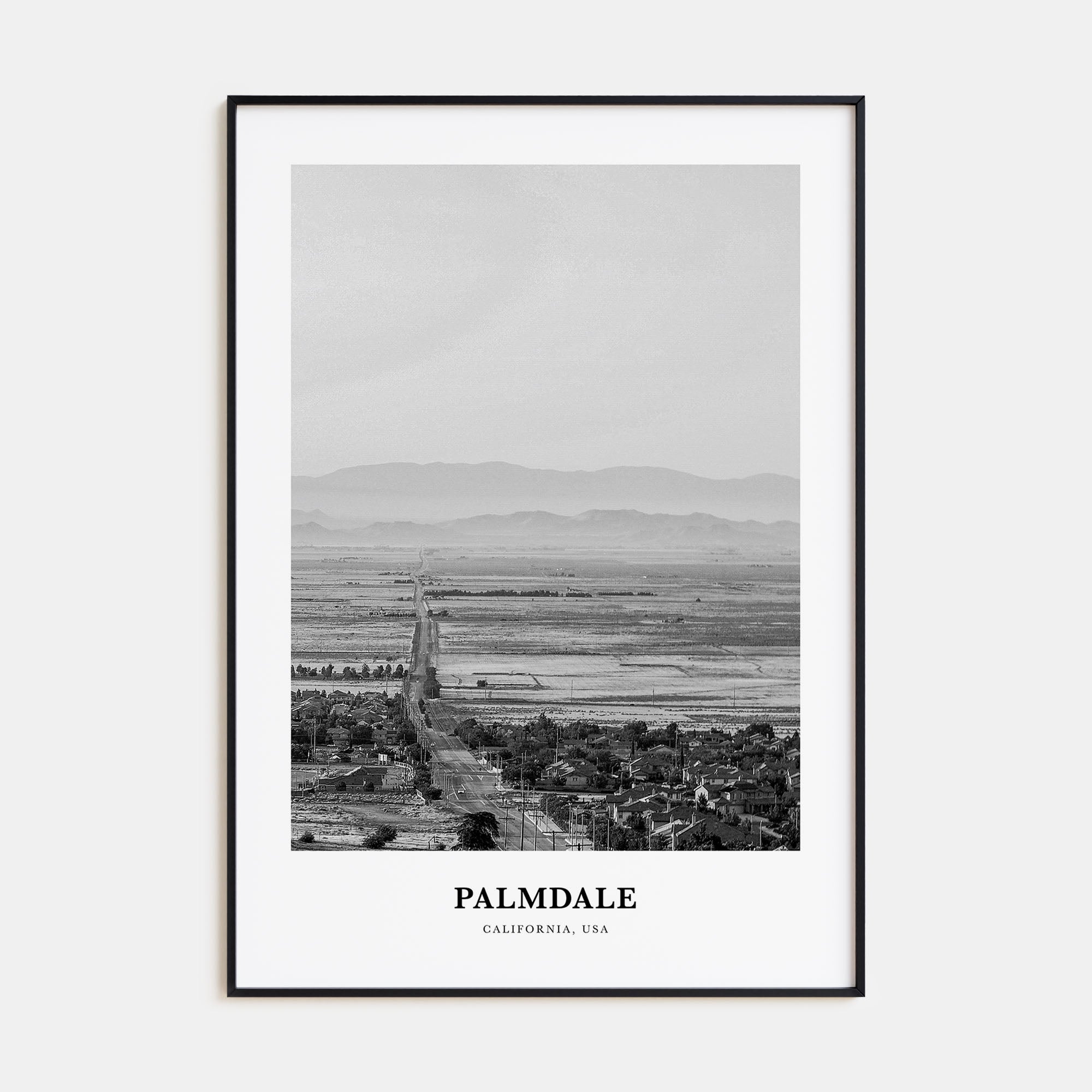Palmdale Portrait B&W Poster