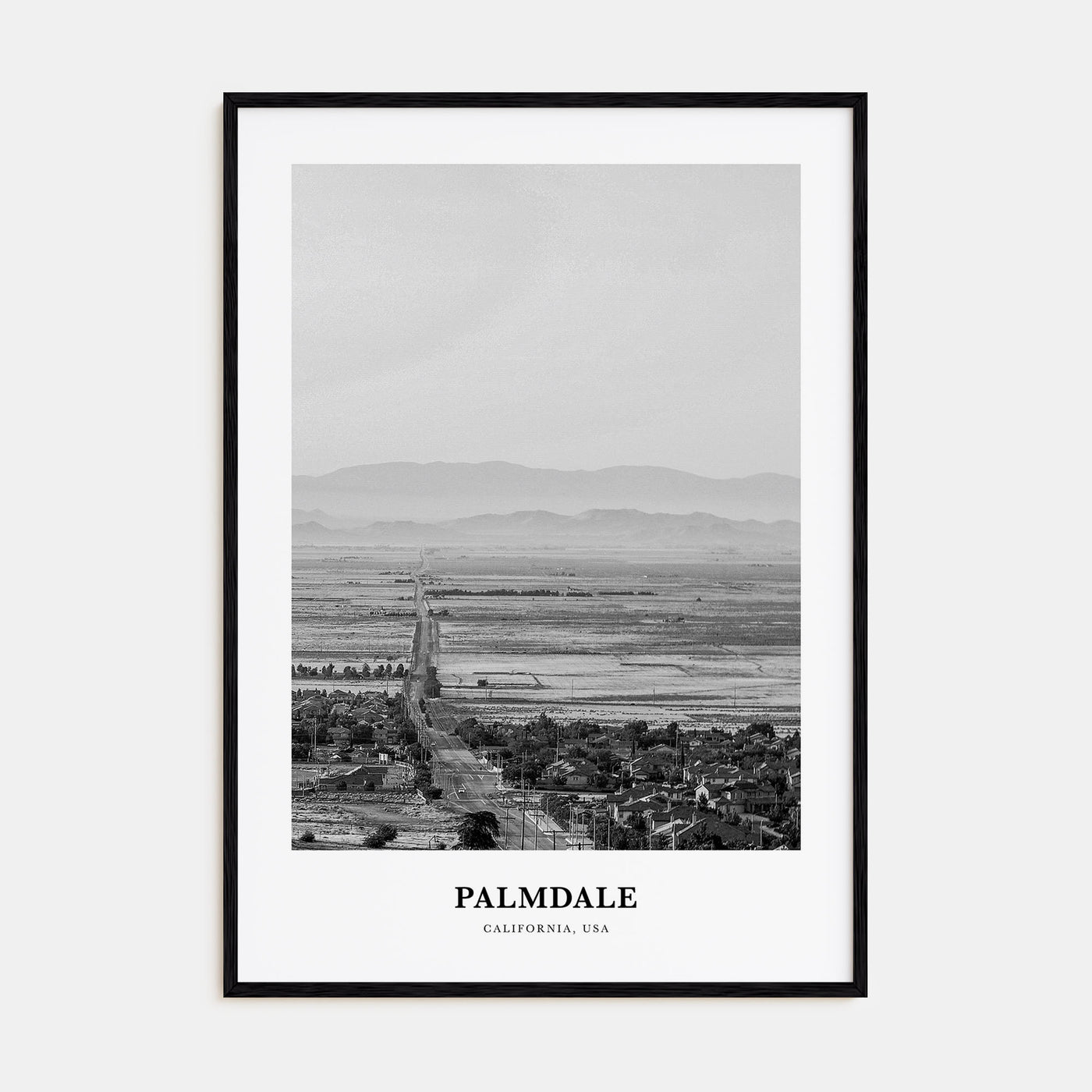 Palmdale Portrait B&W Poster