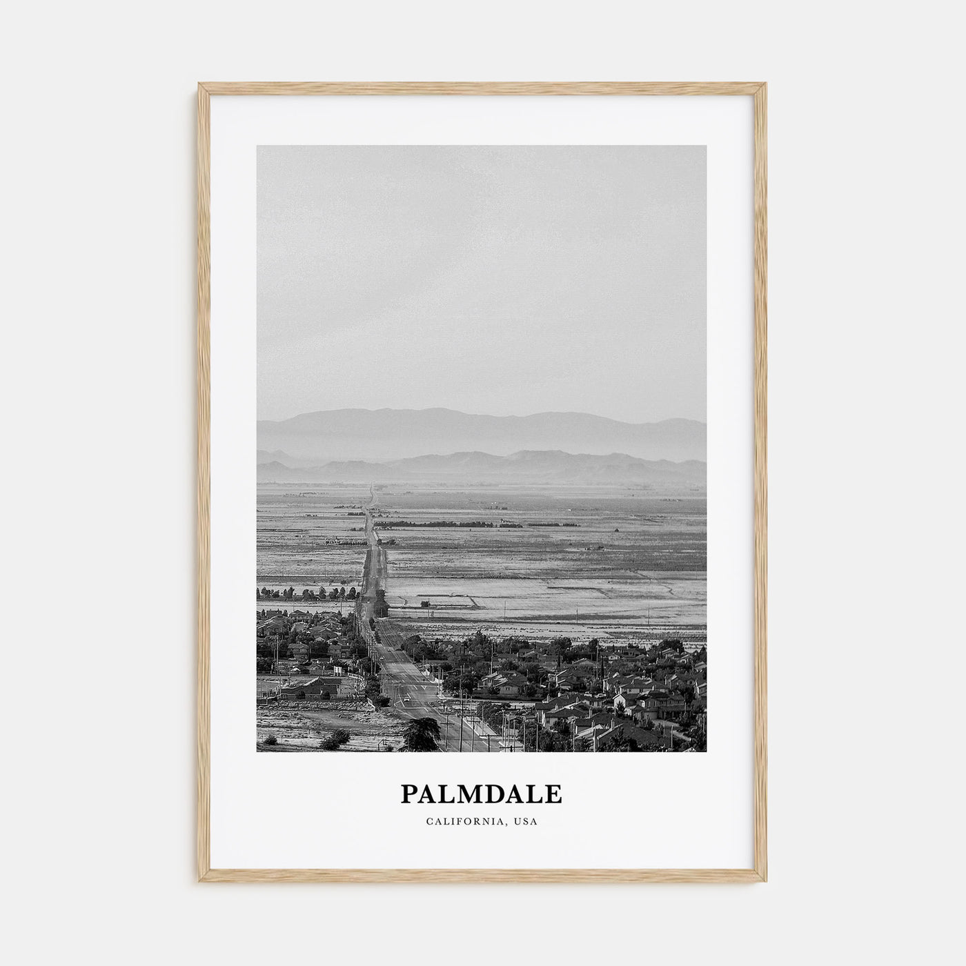 Palmdale Portrait B&W Poster