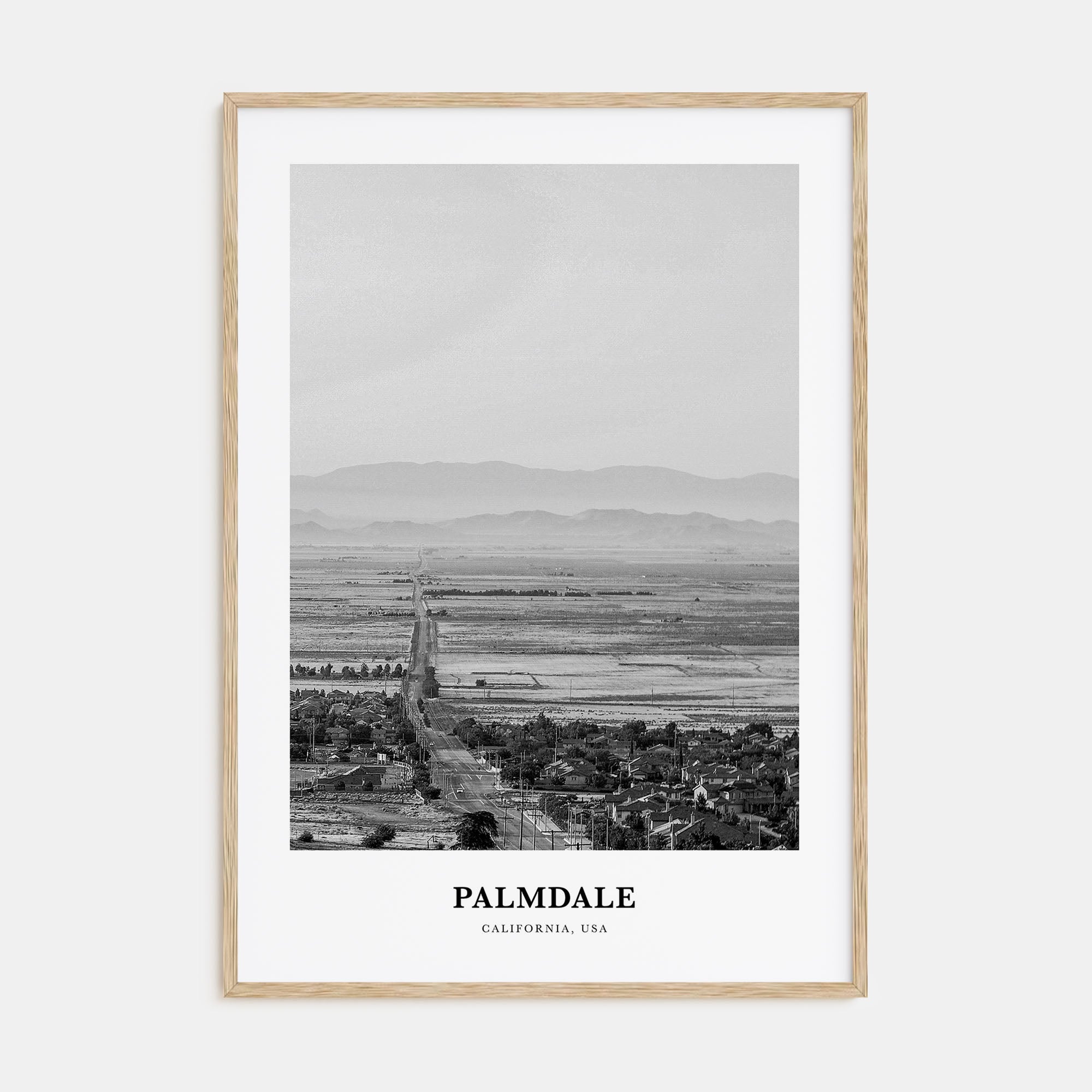 Palmdale Portrait B&W Poster