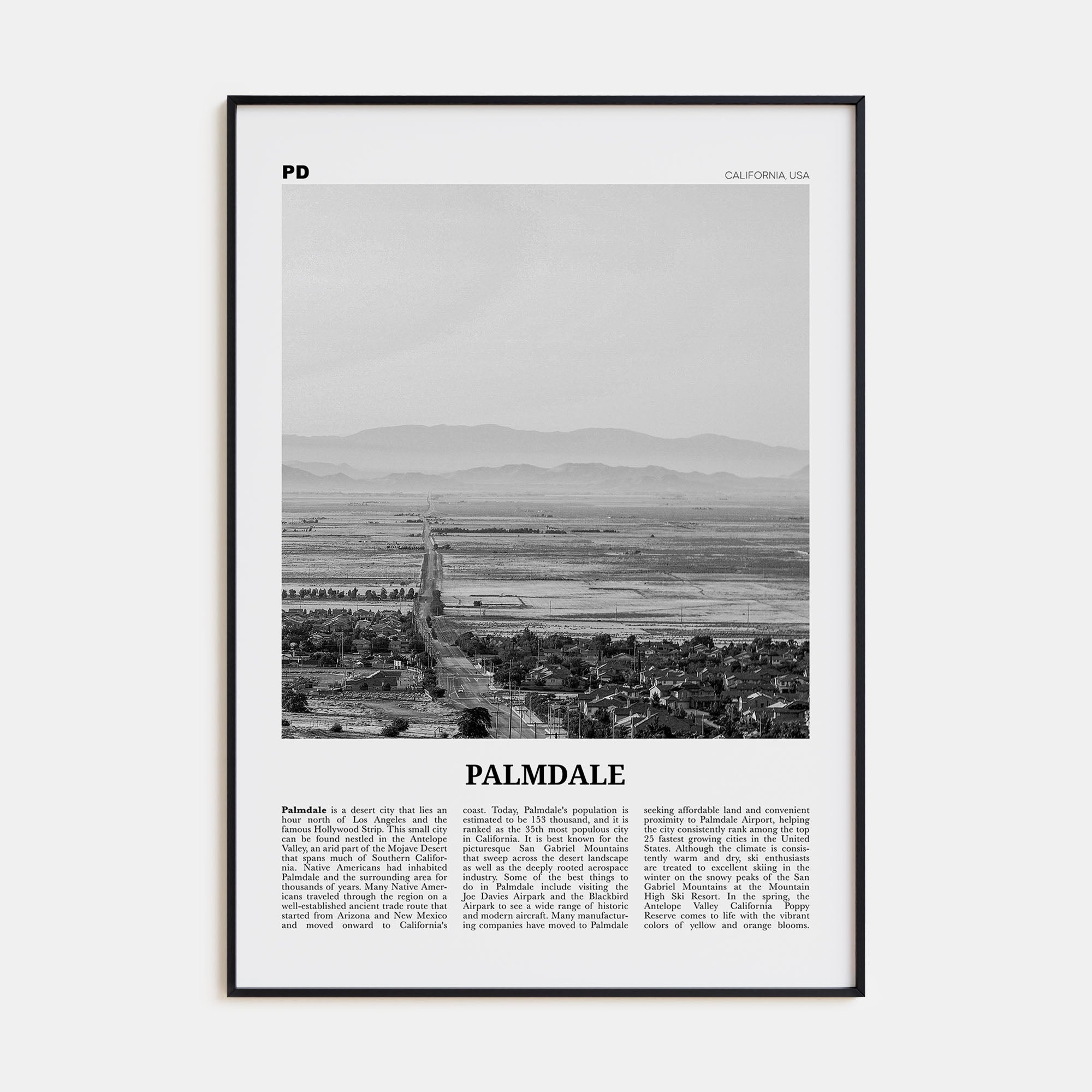 Palmdale Travel B&W Poster