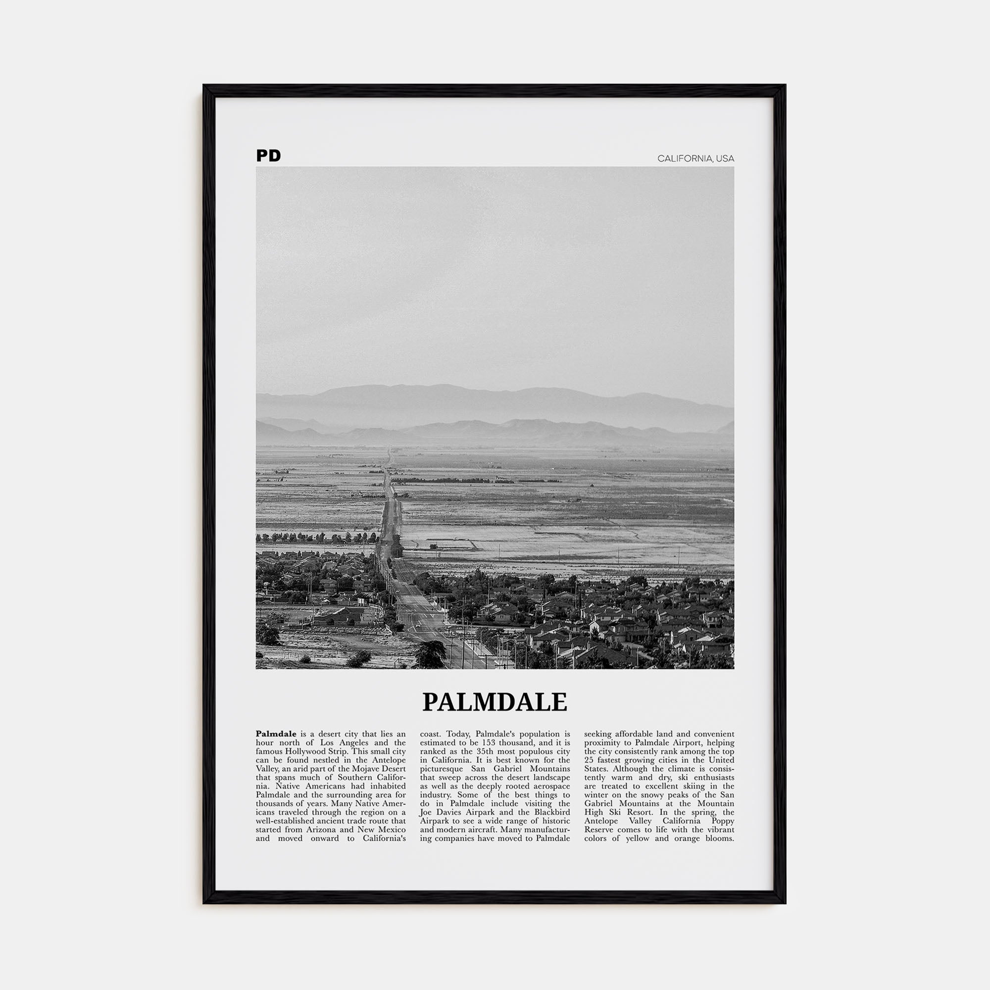 Palmdale Travel B&W Poster