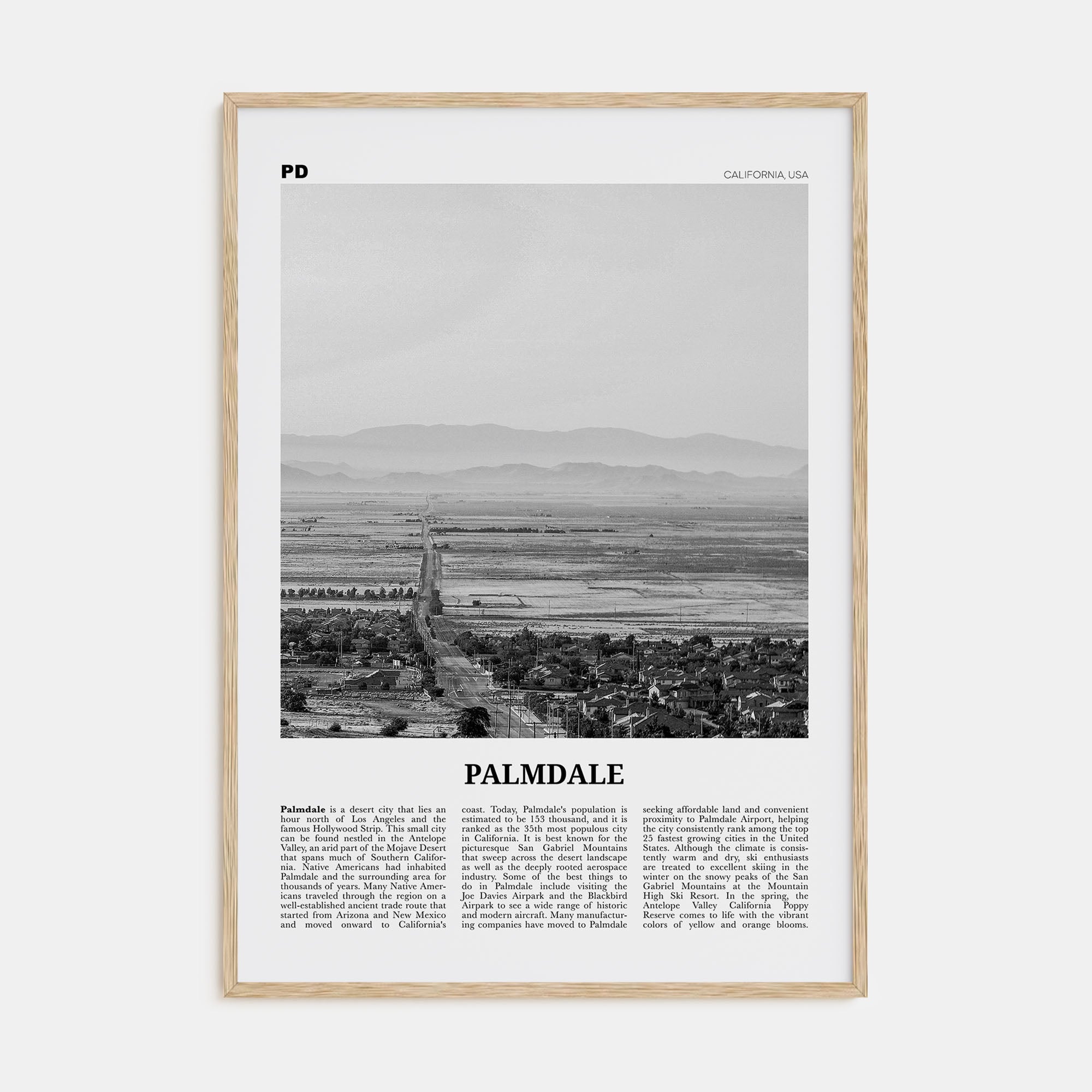 Palmdale Travel B&W Poster