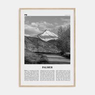 Palmer Travel B&W Poster