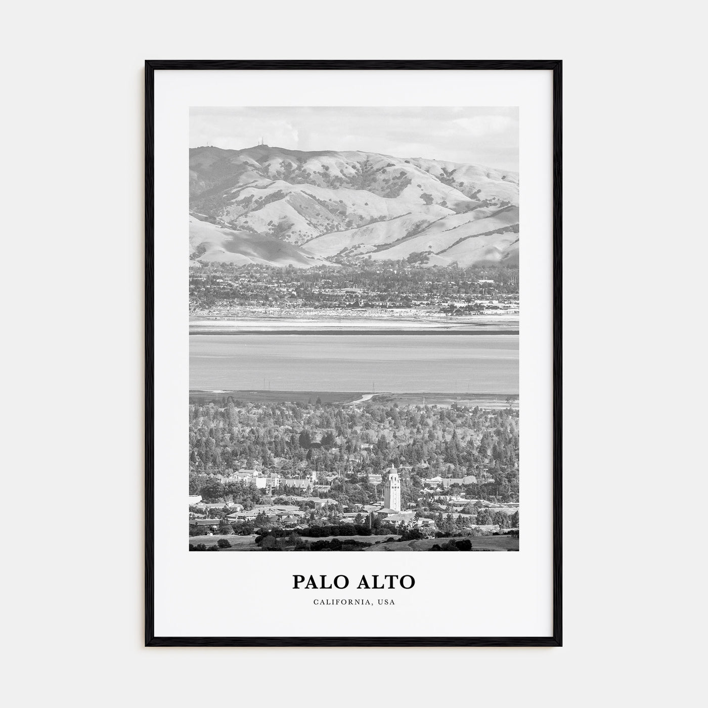Palo Alto Portrait B&W Poster