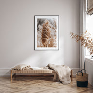 Pampas Grass Photo Color No 1 Poster