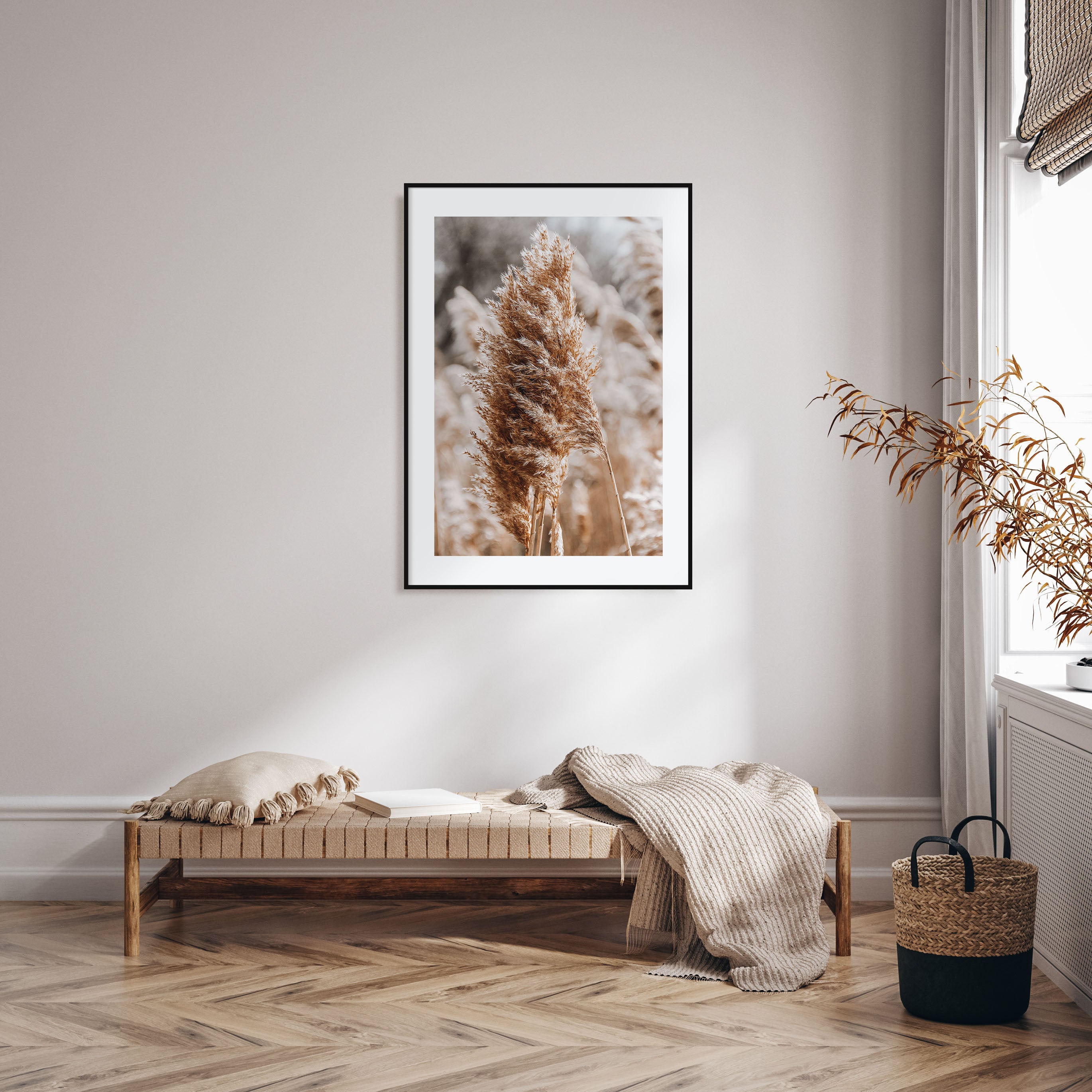 Pampas Grass Photo Color No 1 Poster