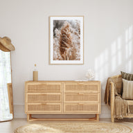 Pampas Grass Photo Color No 1 Poster