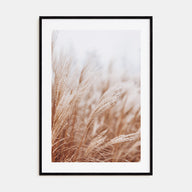 Pampas Grass Photo Color No 2 Poster