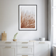 Pampas Grass Photo Color No 2 Poster