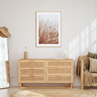 Pampas Grass Photo Color No 2 Poster