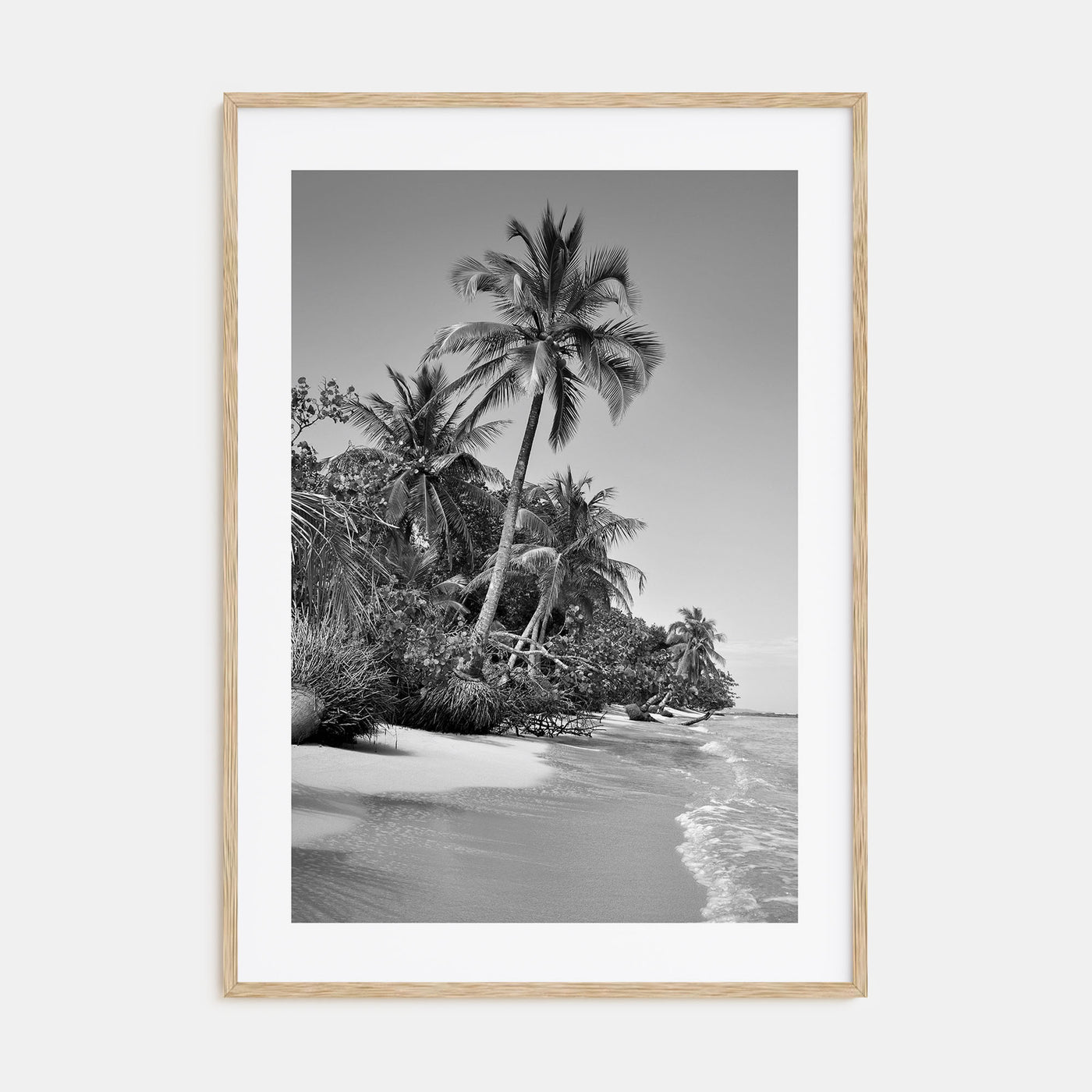 Panama Photo B&W Poster