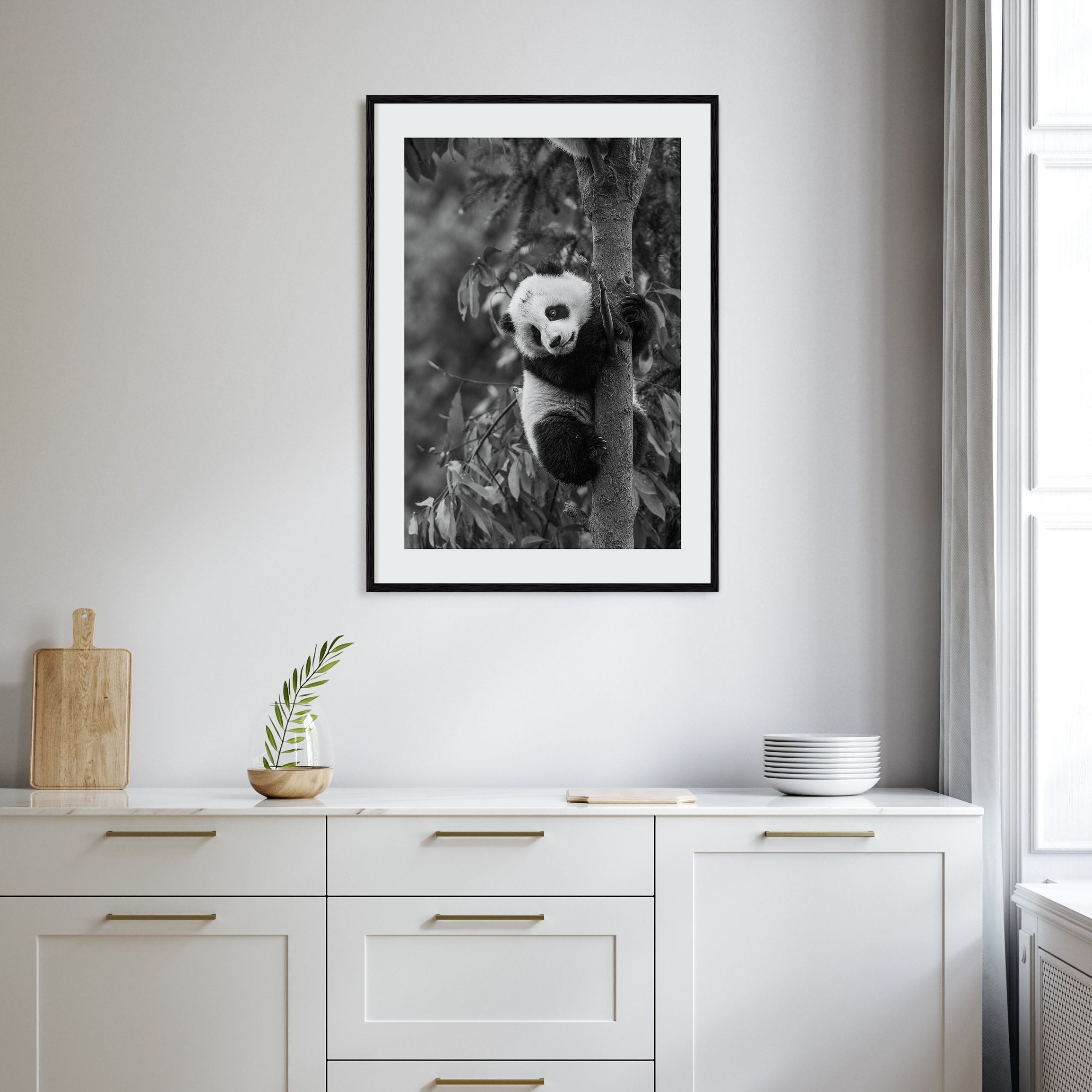 Panda Bear Photo B&W No 2 Poster