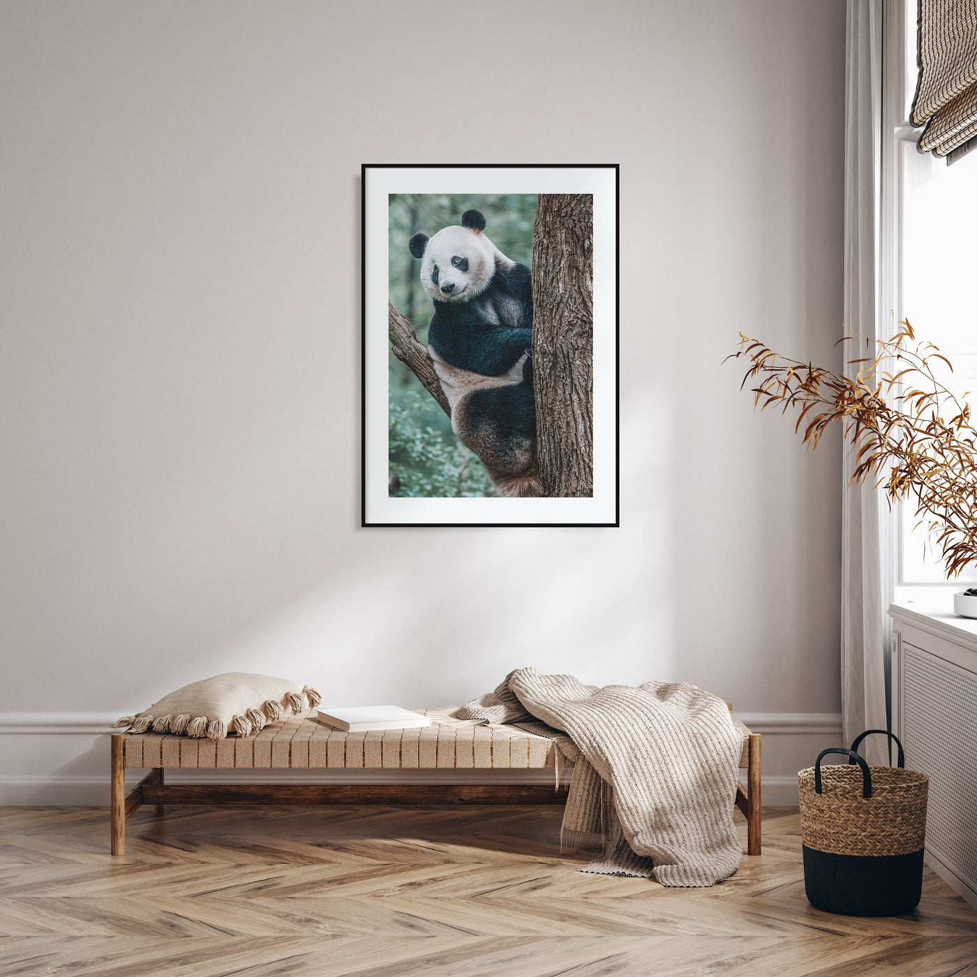 Panda Bear Photo Color Poster