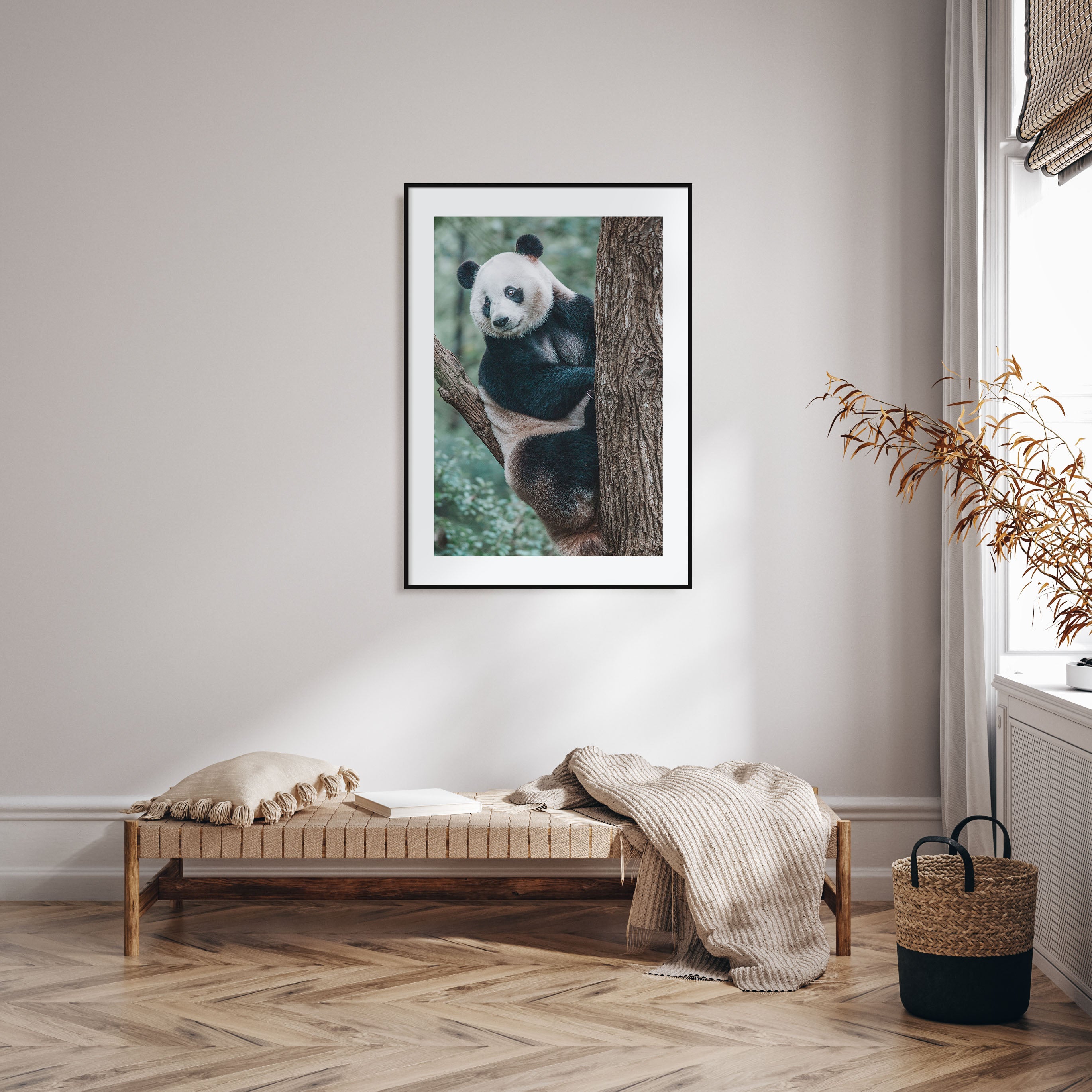 Panda Bear Photo Color Poster