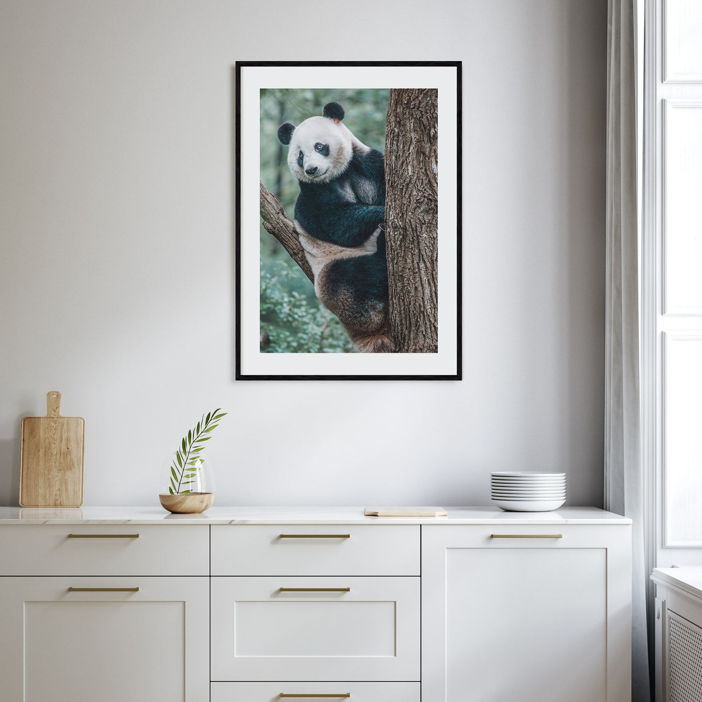Panda Bear Photo Color Poster