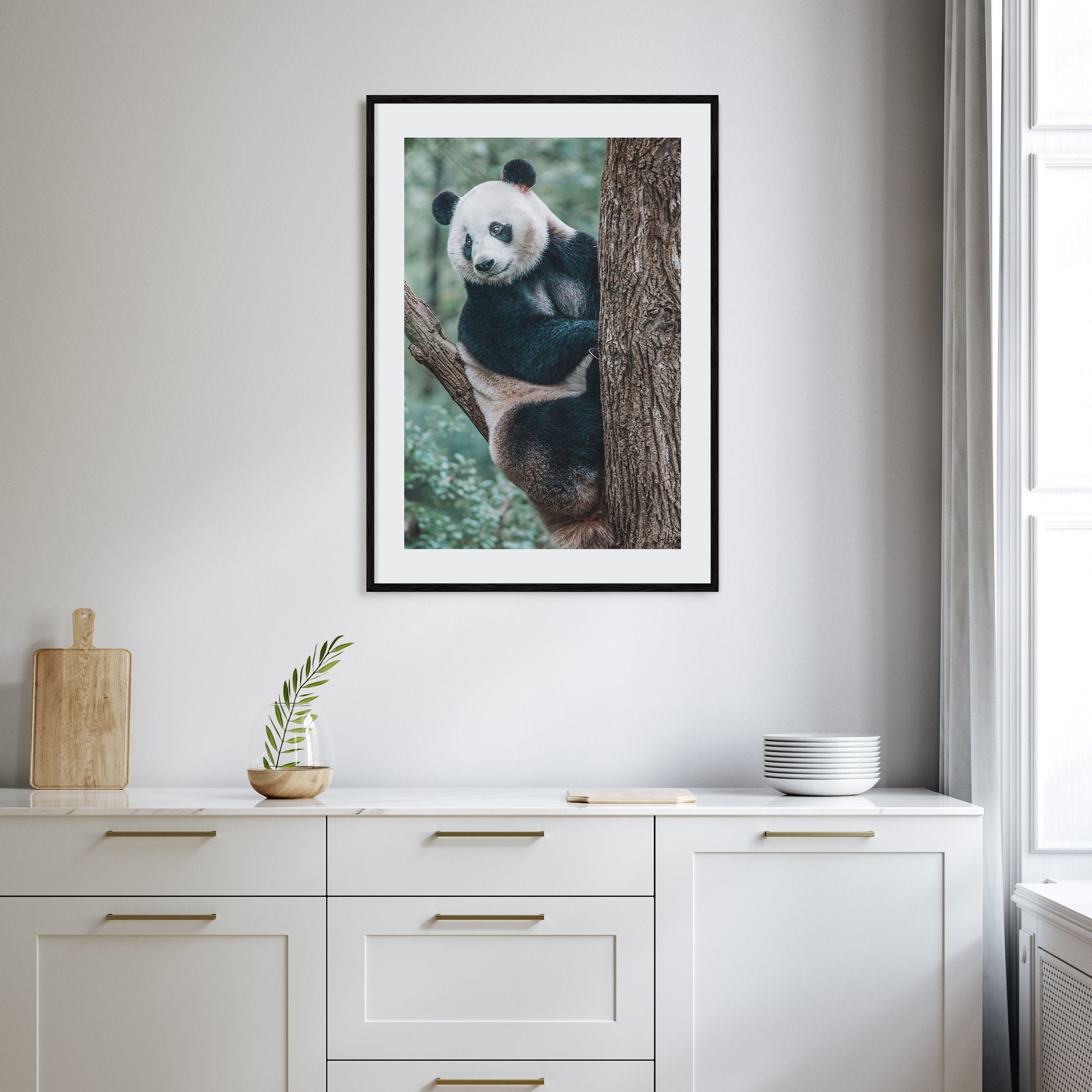 Panda Bear Photo Color Poster