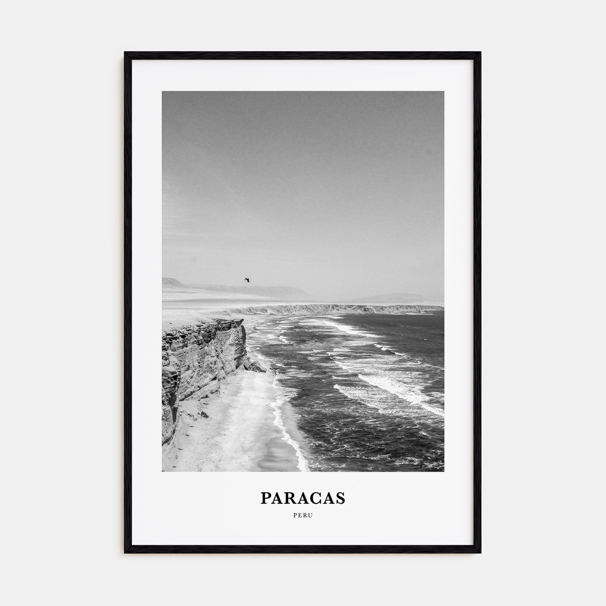 Paracas Portrait B&W Poster