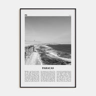 Paracas Travel B&W Poster