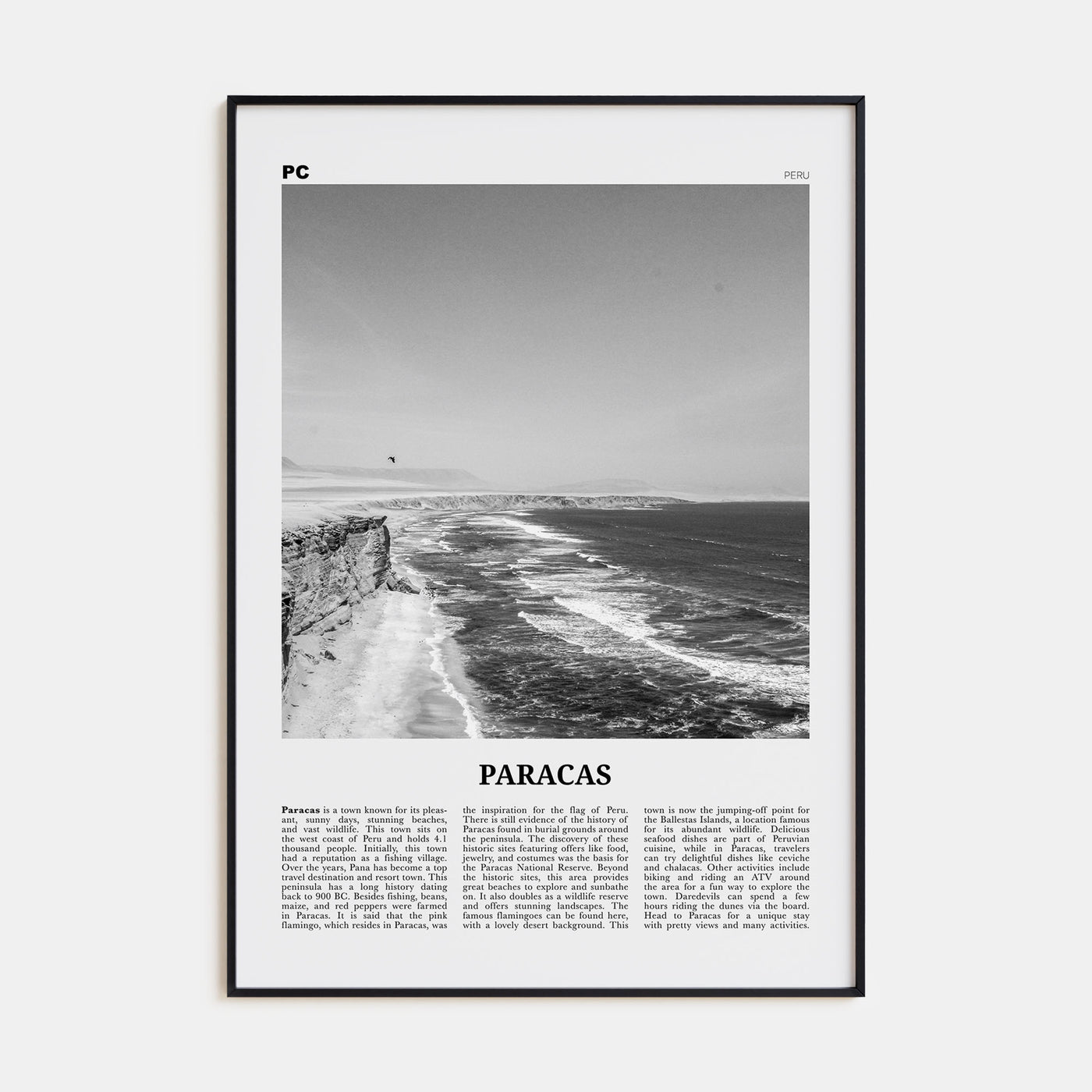 Paracas Travel B&W Poster
