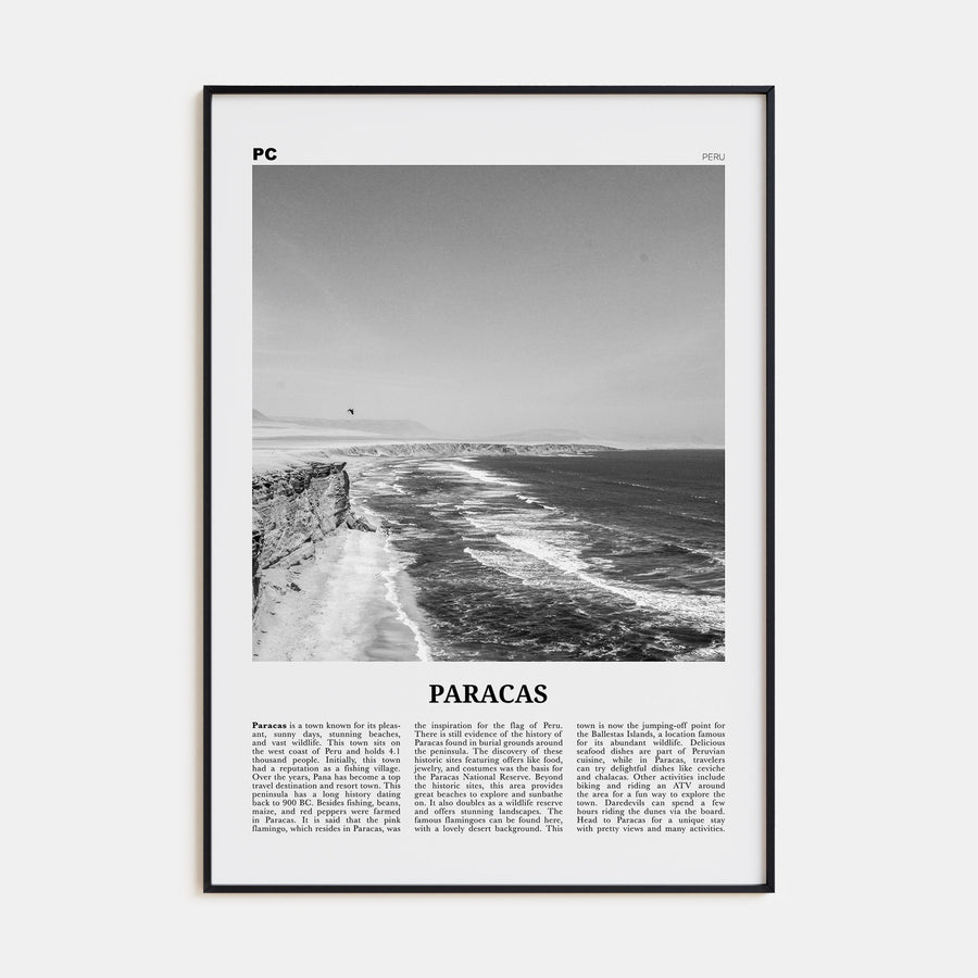 Paracas Travel B&W Poster
