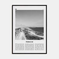 Paracas Travel B&W Poster