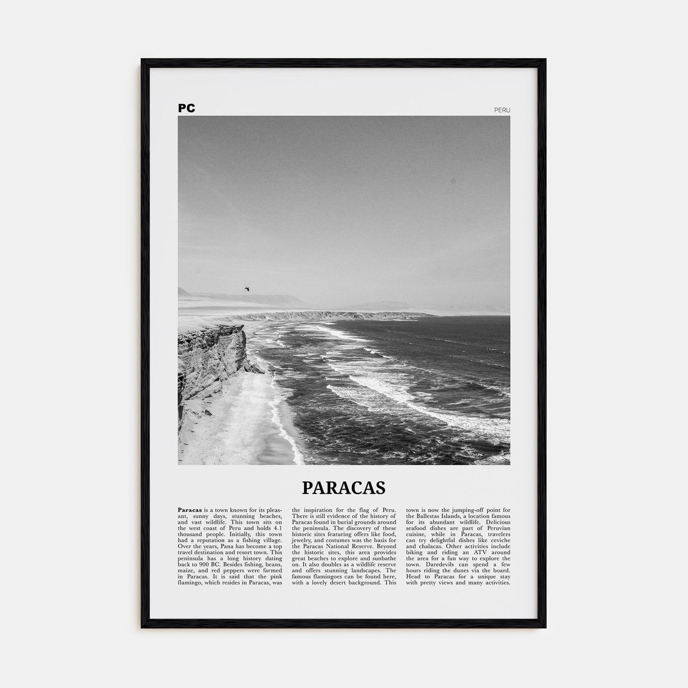 Paracas Travel B&W Poster