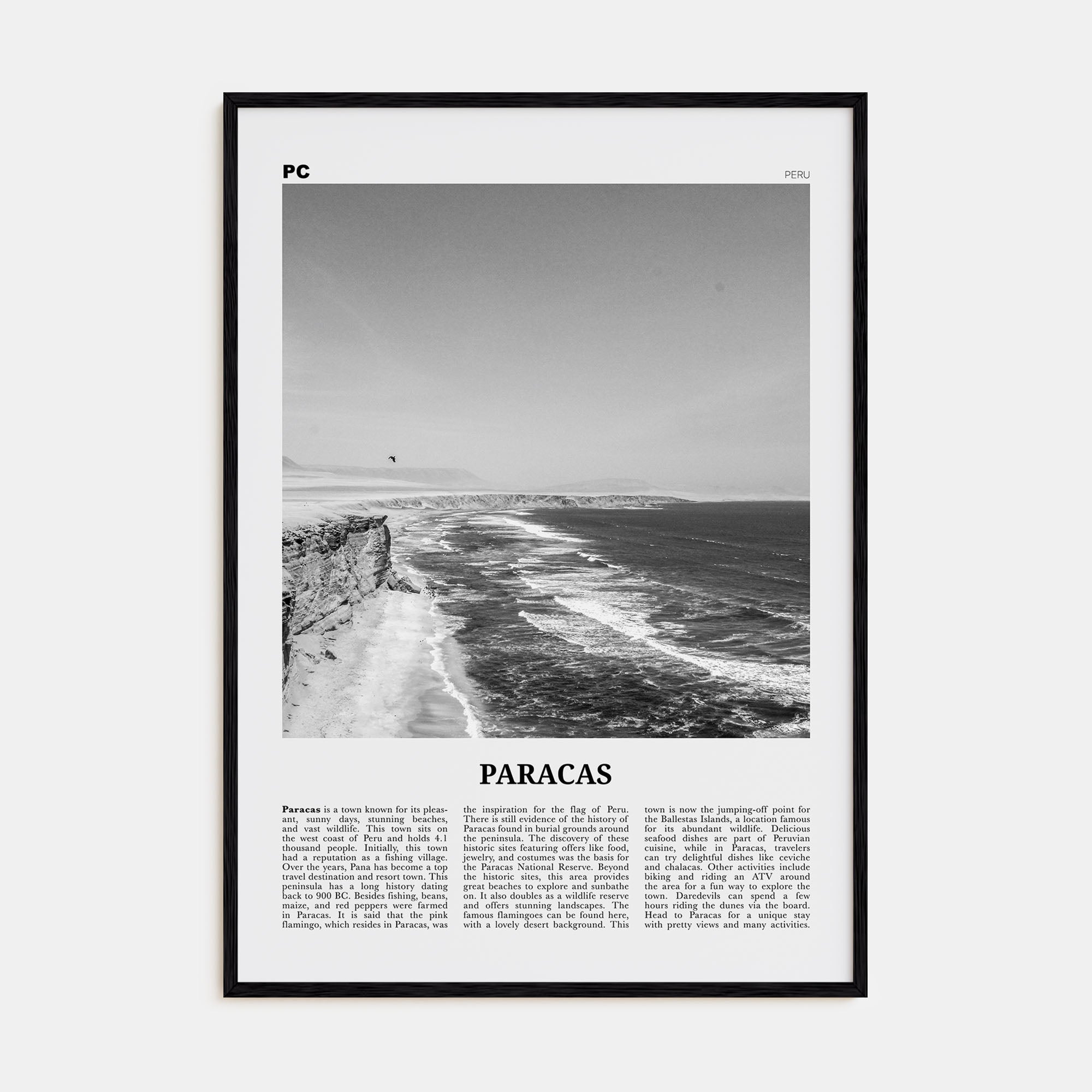 Paracas Travel B&W Poster